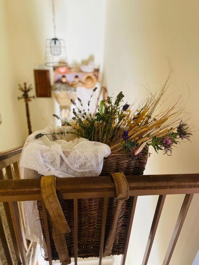 Quarto  Anticacascina B&B 외부 사진